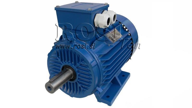 ELECTRIC MOTOR 2P B3 3F feet