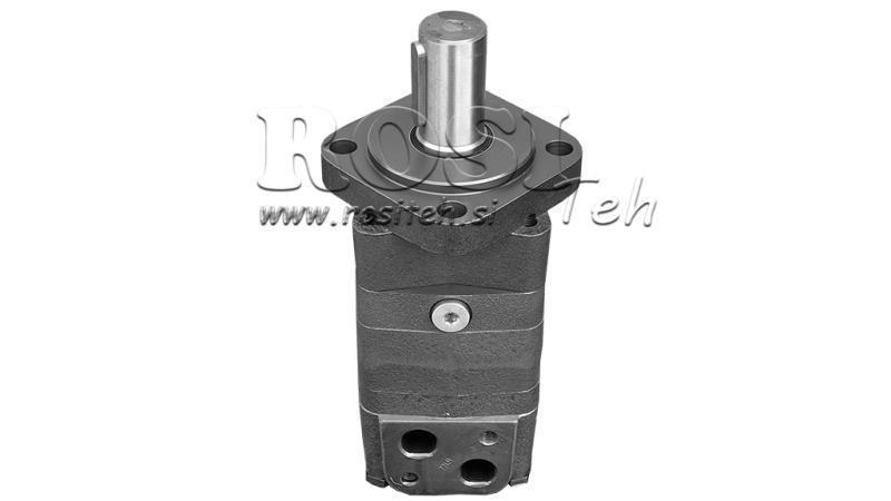 HIDRAULINIS VARIKLIS MS 100