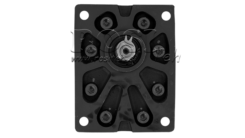 HYDRAULISCHE POMP GR.3 51 CC LINKS - FLANGES