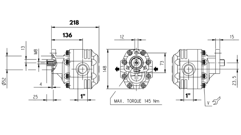 HYDRAULISK GJUTJÄRN PUMP REVERSIBEL 100CC CASAPPA